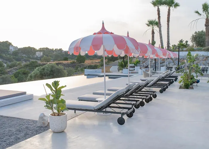 The Palms Concept Adults Only 16