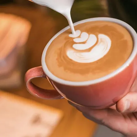 The Palms Concept Adults Only 16