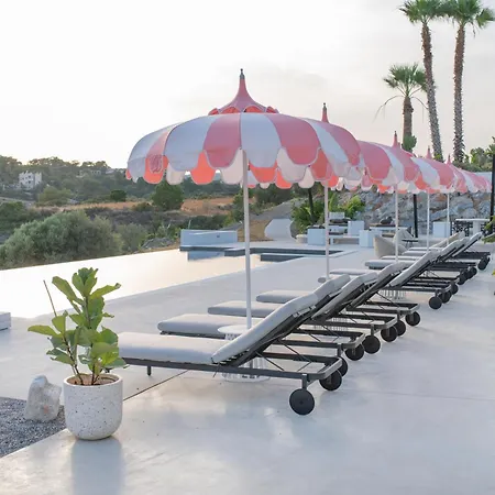 The Palms Concept Adults Only 16