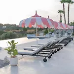 The Palms Concept Adults Only 16