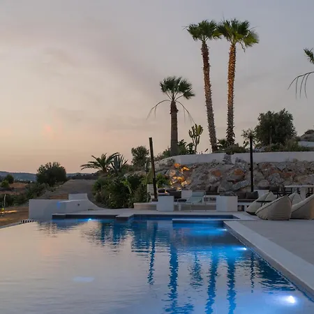 The Palms Concept Adults Only 16